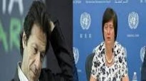 आर्टिकल 370 : पाकिस्तान गया संयुक्‍त राष्‍ट्र सुरक्षा परिषद के दर, लेकिन हाथ लगी निराशा