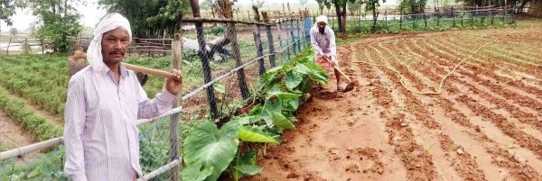 राजीव गांधी किसान न्याय योजना बनी किसानों का सहारा