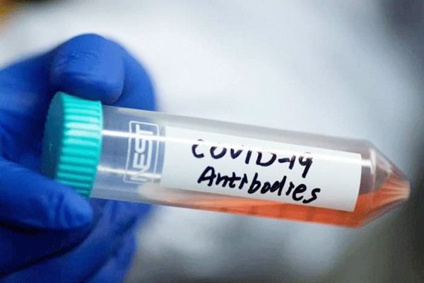 नए अध्ययन में दावा, सात महीने बाद तक भी शरीर में मौजूद रहता एंटीबॉडी