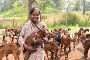 बिहान से गनेशी बाई आत्मनिर्भरता की राह पर