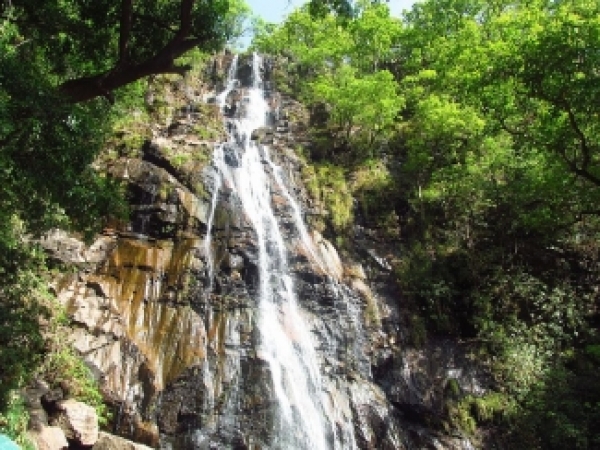 पचमढ़ी का रिटायर्ड सीईओ संविदा पर बना सहायक मैनेजर