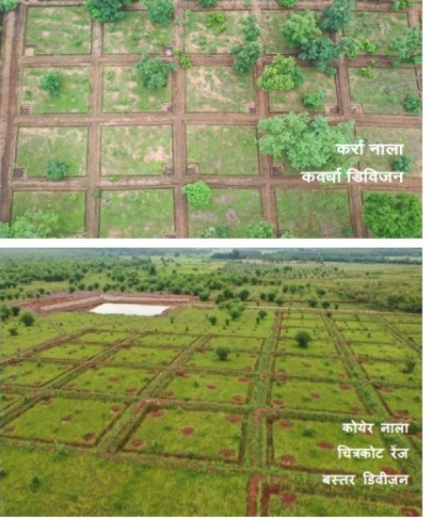 नरवा विकास योजना: वनांचल के अनउपजाऊ तथा बंजर भूमि में 30-40 मॉडल का निर्माण प्राथमिकता से हो - वन मंत्री अकबर