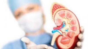 किडनी को हेल्दी रखने के लिए डायबिटीज पेशेंट्स रखें इन बातों का ध्यान