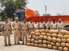 ट्रक में आम के भीतर छुपाया था 800 किलो गांजा, बंदरों ने खोल दी पोल