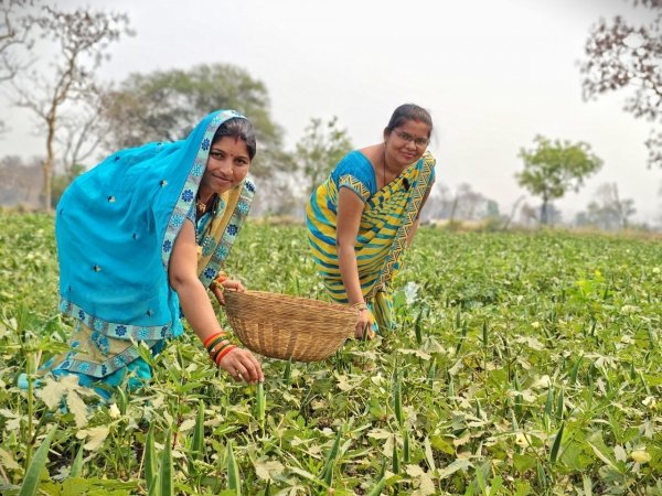 सब्जी बाड़ी के कार्य से बदली खैरवाही के महिलाओं की कहानी