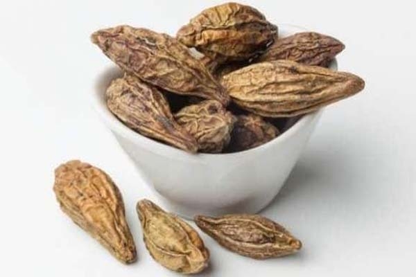 स्वस्थ रहने करें हरड़ का उपयोग