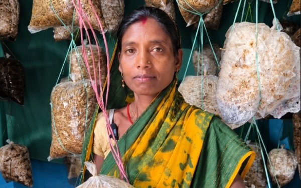 मशरूम और महुआ व्यवसाय ने बदली बबली की जिंदगी