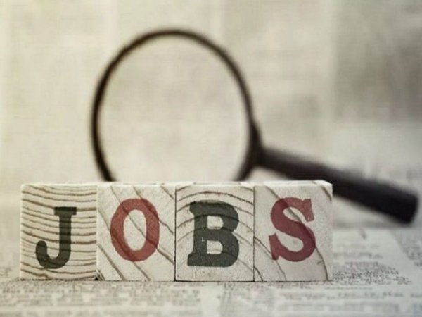 बेरोजगारों की संख्या बढ़ी, रायगढ़ प्रदेश में दूसरे नंबर पर, ट्रेनिंग-डेवलपमेंट खूब पर काम नहीं दिला सके