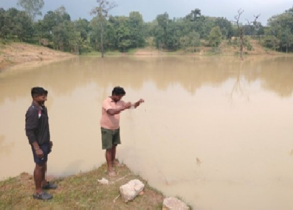 अमृत सरोवर ने बदली तस्वीर : अकलासरई गाँव में हरियाली और आत्मनिर्भरता की नई कहानी