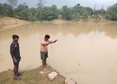 अमृत सरोवर ने बदली तस्वीर : अकलासरई गाँव में हरियाली और आत्मनिर्भरता की नई कहानी