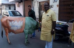 गाय को माता का दर्जा देती है बीजेपी, लेकिन प्रचार के लिए एक समर्थक ने उसे भी कर डाला इस्तेमाल