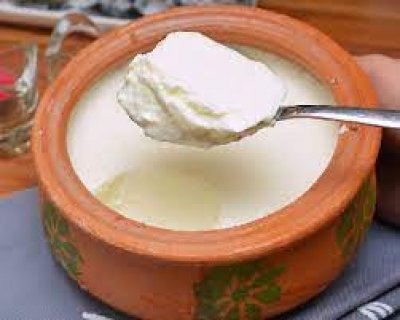 इम्युनिटी बूस्ट करने से लेकर हार्ट की सेहत के लिए अच्छा होता है दही