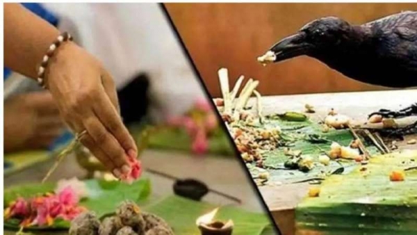 मंगलादित्य योग में आरंभ हुआ महालय श्राद्ध पक्ष, उज्&zwj;जैन में रामघाट, सिद्धवट, गयाकोठा तीर्थ पर होंगे पितृ कर्म