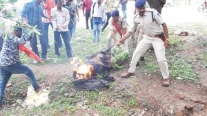 छतरपुर : युवक नें एस. पी. दफ्तर के सामनें खुद को लगाईं आग, 90 प्रतिशत तक झुलसा