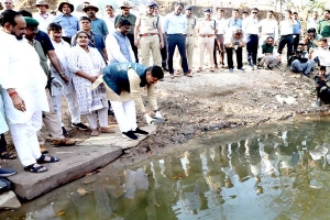 चंबल के कछुए बने नमामि गंगे मिशन में मां गंगा के &lsquo;प्राकृतिक सफाई-योद्धा&rsquo;