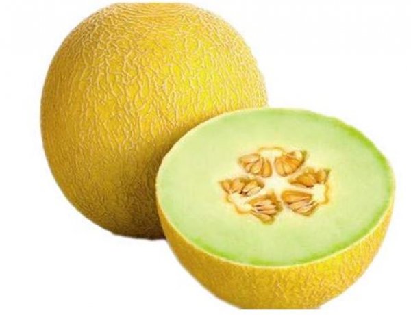 सरदा बॉडी को हाइड्रेट रखने के साथ बालों का झड़ना भी करता है कम