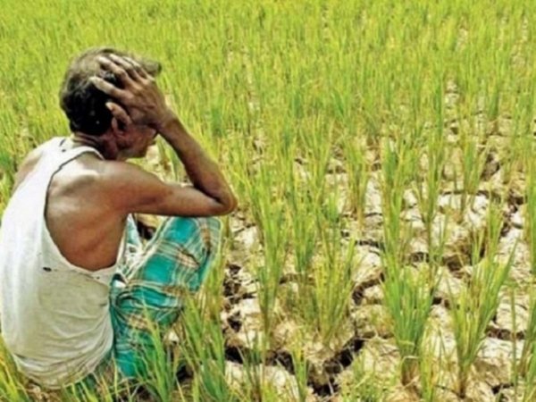 16114 किसानों को 21 बैंकों ने डिफाल्टर लिस्ट में डाला