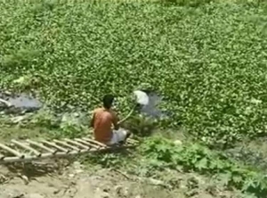 मां और बहन पर रखता था बुरी नजर, टोका तो टुकड़ों में काटा