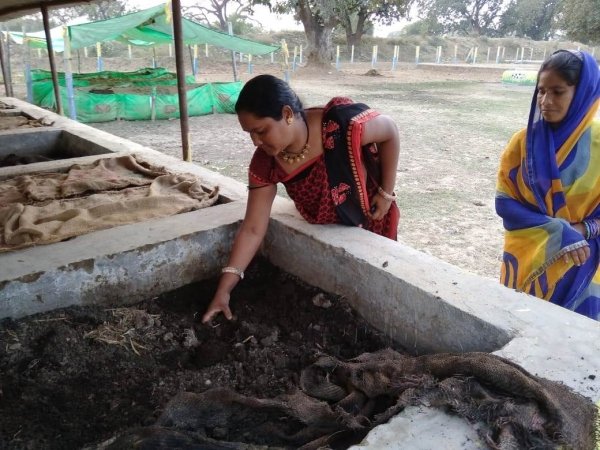 ​​​​​​​ग्रामीण महिलाओं के आय का जरिया बनी गोधन न्याय योजना