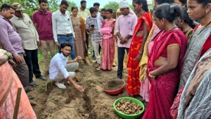 ​धमतरी का 'नगरी' बनेगा हल्दी उत्पादन का नया हब: 250 किसानों ने थामा वैज्ञानिक खेती का हाथ, 250 टन पैदावार का लक्ष्य