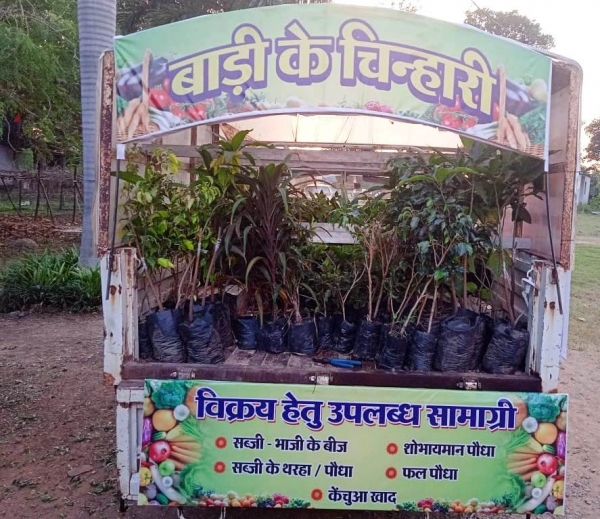 ​​​​​​​शासकीय नर्सरी बाना द्वारा की जा रही अपने उद्यानिकी उत्पाद की मार्केटिंग