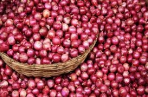फिर आंसू निकालने लगी प्याज, मुंबई में 80 रुपये किलो पहुंची कीमत