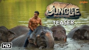 Trailor of Junglee Movie Release