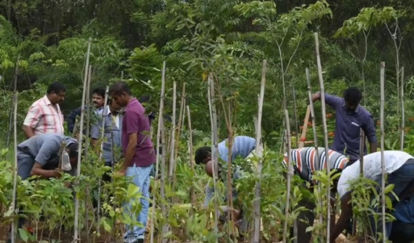 मियावकी वन तकनीक से हरित छत्तीसगढ़ की ओर बढ़ते कदम