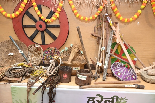 विशेष लेख:  छत्तीसगढ़ का लोक-पर्व: हरेली तिहार