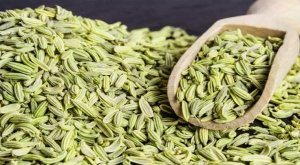 सौंफ में मौजूद Polyphenol कर देगा इन 5 परेशानियों का खात्मा, डाइट में करें शामिल