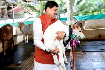 मध्यप्रदेश में दुग्ध उत्पादन से दोगुनी होगी पशुपालक किसानों की आय : मुख्यमंत्री डॉ. यादव