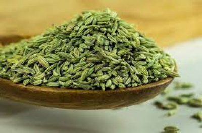 कई बीमारियों में बेहद फायदेमंद है सौंफ