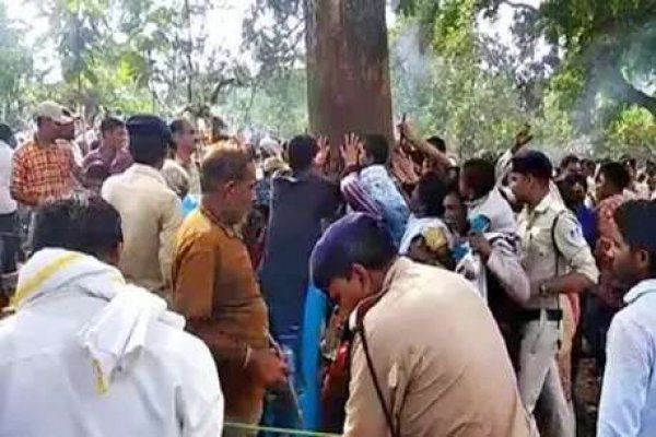 वाट्सऐप पर वायरल ‘जादुई महुआ’ से टेंशन में सतपुड़ा टाइगर रिजर्व