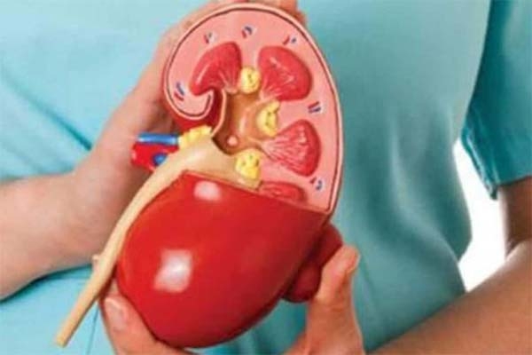 किडनी की समस्या से इस प्रकार बचें