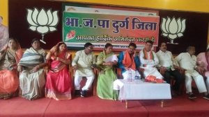 भाजपा की संगठन चुनाव कार्यशाला संपन्न