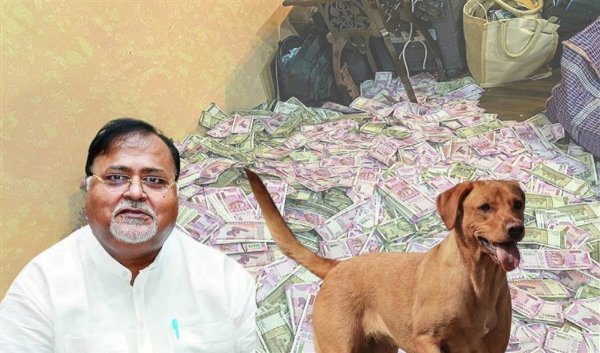 एनिमल लवर हैं ममता के मंत्री, एक AC वाला बंगला कुत्तों के नाम कर रखा, ED की जांच में हो रहे चौंकाने वाले खुलासे