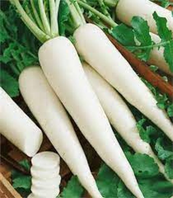 सर्द‍ियों में रोजाना खाएं मूली, शुगर रहेगा कंट्रोल