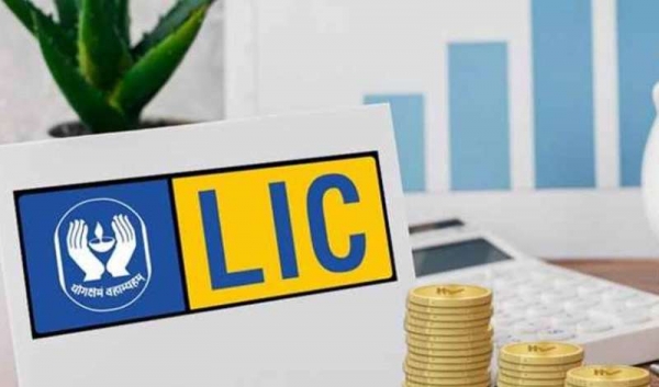 &ldquo;सरकार योजना बनाए, 2&ndash;3% LIC हिस्सेदारी का चरणबद्ध divestment, सार्वजनिक निवेशकों को मिलेगा अवसर&rdquo;