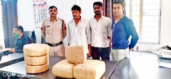 गांजा तस्कर गिरोह के 2 सदस्य गिरफ्तार