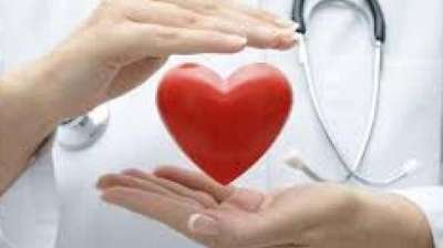 बढ़े हुए कोलेस्ट्रॉल को तेजी से कंट्रोल करेंगे ये फल