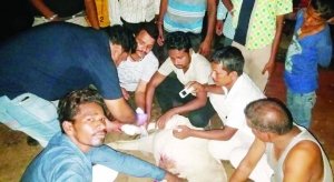 दर्द से कराह रहीं गाय व बछड़े की तड़प नहीं गया देखा, चंदा कर इलाज कराया