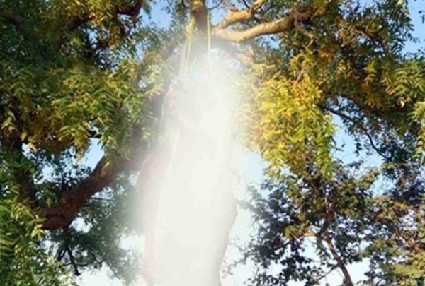 पत्नी-बच्चों को संक्रमण न हो इसलिए वायरल फीवर को &#039;कोरोना&#039; समझकर लगा ली फांसी