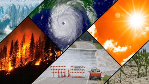 जलवायु परिवर्तन की वजह से शताब्दी के अंत तक धरती पर मौजूद 10 में से एक प्रजाति नष्ट हो जाएगी
