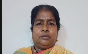 सफलता की कहानी