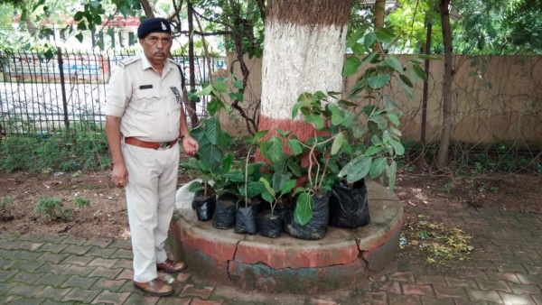 पुलिस विभाग के श्री पांडे ने अब तक 1,30,534 वृक्ष लगा चुके है