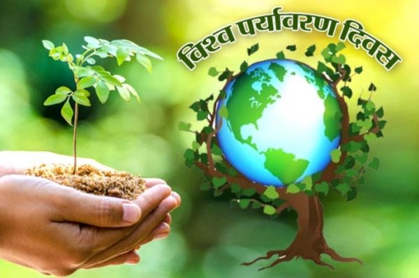 विश्व पर्यावरण दिवस पर प्रदेशभर में होंगे विशेष आयोजन