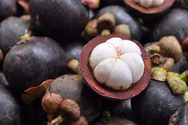 मैंगोस्&zwj;टीन के सेवन से ब्लड प्रेशर और कोलेस्&zwj;ट्रॉल होता है नियंत्रित