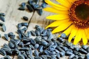 बीजों में हैं चमत्कारी गुण