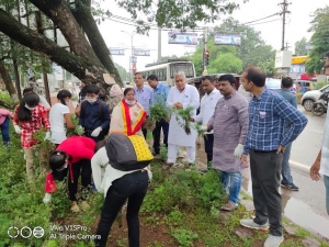 एनएसएस के छात्र-छात्राओं ने चलाया गाजर घांस उन्मूलन के लिए जागरुकता अभियान
