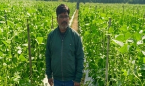 उद्यानिकी की आधुनिक तकनीकों से किसान महेश कश्यप की बदली तकदीर